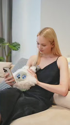 K-Bao Educational AI Robot Interactive Ai Desktop Cute Pet Robot